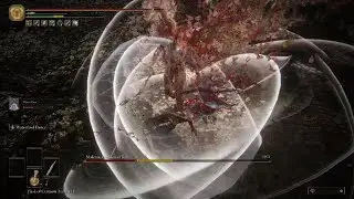 Malenia Vs Malenia Elden Ring