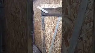 Обшиваю сарай