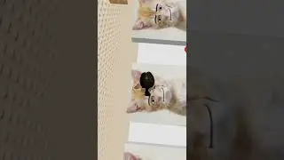 история не моя