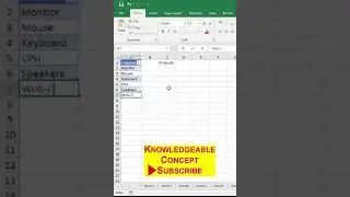 Dynamic Drop Down List in Excel || Automatic Drop Down List in Excel 