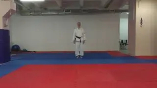 Aikido & Ambidexterity. Mae Ukemi mistake