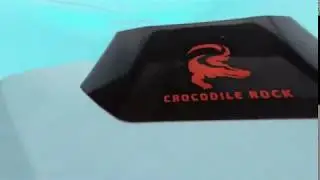 Робот-пылесос для бассейна CROCODILE ROCK, Hexagone, Франция