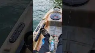 Targeting Laydowns for Spotted Bass in August Lake Lanier