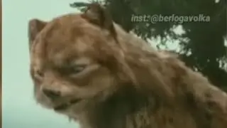 Самый лучший мувик во всем so2