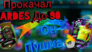 прокачка zardes до 90 обзор