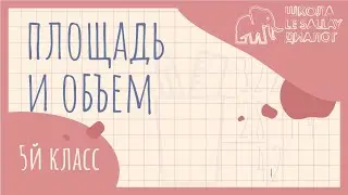 Площади и объёмы. 5 класс. 2 урок.