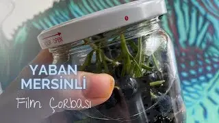 Yaban Mersini ve Biberiyeli Film Çorbası // Film Çorbası Deneyi // Deneysel Analog Fotoğrafçılık
