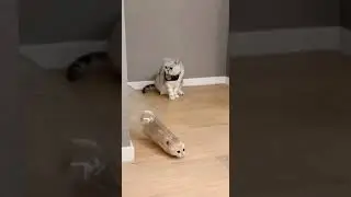 how did he get there?