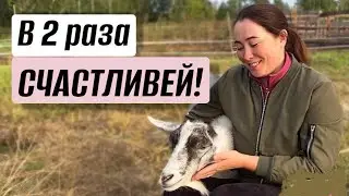 ЧТО произошло на Ферме Крапивиных?