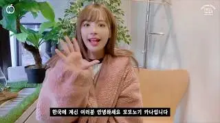 모모노기 카나 MOMONOGI KANA 2019 팬미팅 MOMO LIVE 개최!