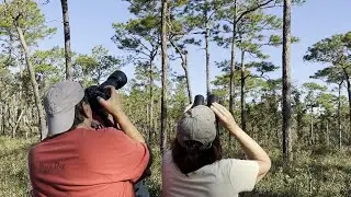 A Morning Birding with Parks