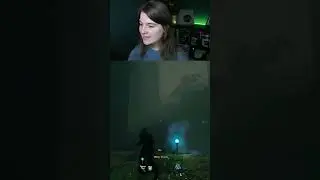 Can Torches Distract the Queen in Valheim?