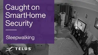 TELUS | Sleepwalking Chronicles