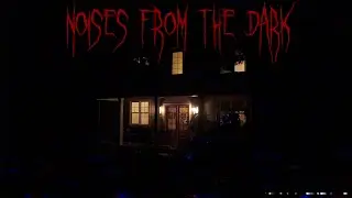 Noises From the Dark