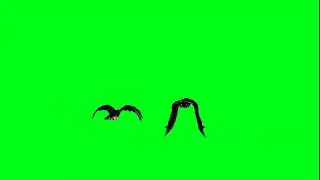 Eagle flying | 