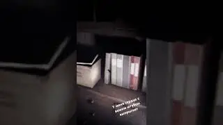 Psalm какие-то странные цифры