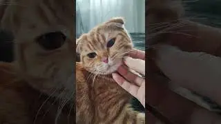 У кого губочки-трубочкой😅🥰