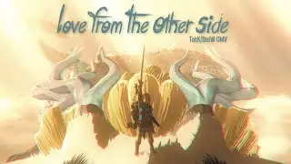 Love From The Other Side || Tears of the Kingdom GMV