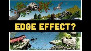 Permaculture Principles: Edge Effect & Stacking Functions with Matt Powers | APSO