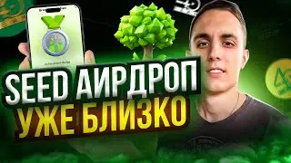 SEED APP AIRDROP | seed app СКОРО ЛИСТИНГ | ОБНОВЛЕНИЕ В ТАПАЛКЕ | seed app обзор | seed аирдроп