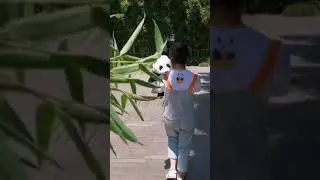 Baby panda waving a hand