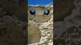 15 октября 2023 г.