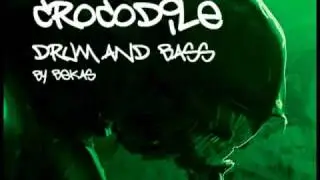 CROCODILE @ CRIP SH*** @ HARDCORE @ DRUM AND BASS REMIX by Bekas @ BEKASBEATS