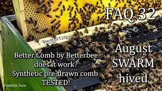 Better Comb by BetterBee (Review), FAQ 32,  Will Honey Bees Produce Brood in Better Comb?