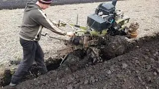 Walk-behind tractor with turbine, starting, plowing.