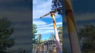 26 июля 2024 г.