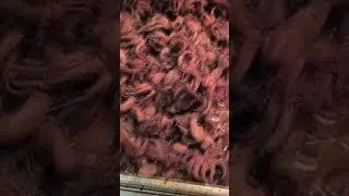 СТРАШНО-ВЕУСНО