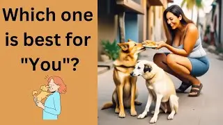 Best dog for your family