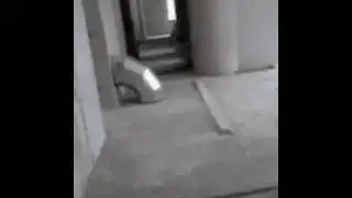 Matrix