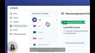 How to choose the right Skydo Account