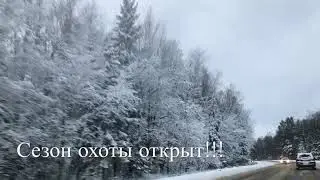 Охота на лося, кабана, Гагарин
