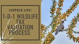 Leopold Live: 1-D-1 Wildlife Tax Valuation Process
