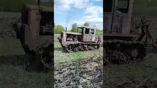 Старый Трактор Т-74 культивирует #дт75 #farming #dt75 #синийтрактор #вспашка #т74 #т72 #танки