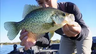 Casting for Fall Time Crappie (Responding)