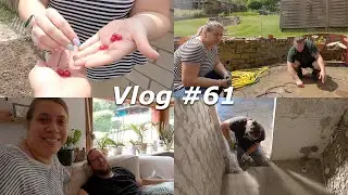 Vlog #61 Beeren Tasting, Schlamm-Pool-Party & Boden raus im Nebengebäude