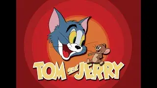 My Tom and Jerry DVD collection, my childhood and big fan