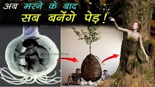 अब मरने के बाद सब बनेंगे पेड़ ! Capsula Mundi - Burial Pods , a tree for life