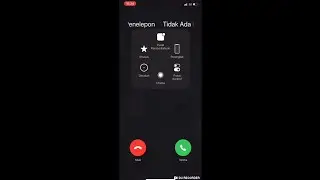 iphone X incoming call (Screen Video)