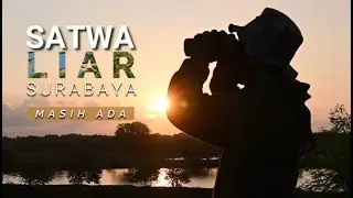 SATWA LIAR SURABAYA, MASIH ADA