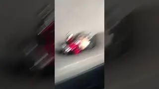 Cow in the middle of the road!!!