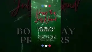 4th of July Firework Survival Tips for Sound-Sensitive Dogs and Cats