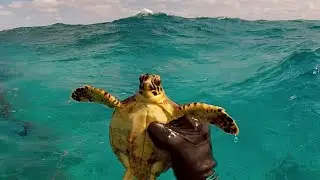 Spearfishing Adventure in the Exumas HD