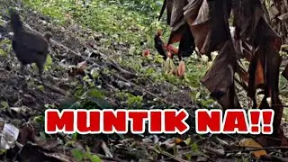 KAHIT TAG ULAN NA AY SUMUBOK PA DEN.