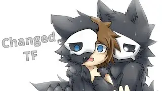 Changed Transformation / Changed TFTG
