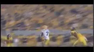 Tyrann Mathieu Honey Badger Highlights 2013 NFL Draft.wmv