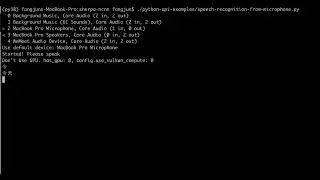 Real-time speech recognition with next-gen Kaldi (sherpa-ncnn Python API)